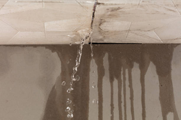 Professional Burst Pipe Cleanup technician working in Brookeville, MD